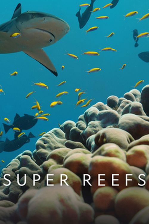 Super Reefs (2024) poster