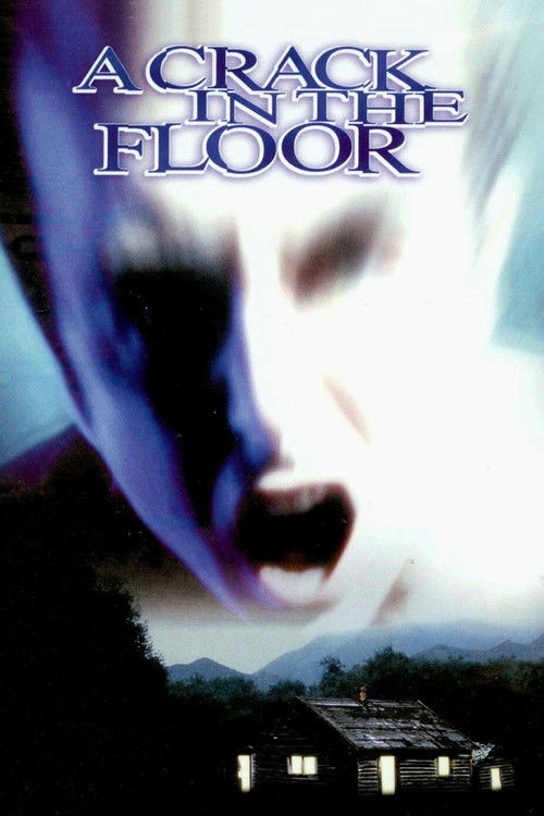 A Crack in the Floor (2001) poster