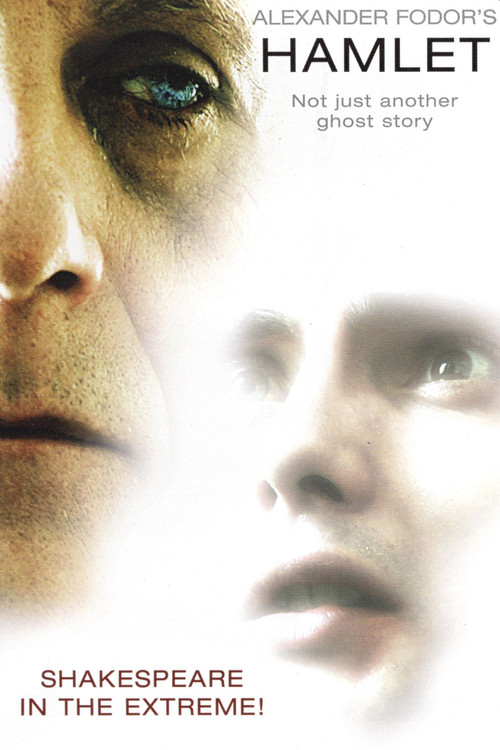 Fodor's Hamlet (2007) poster