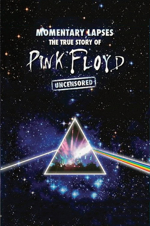 Pink Floyd: Momentary Lapses - The True Story of Pink Floyd (2010) poster
