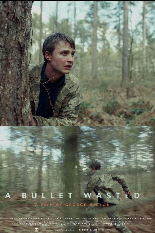 A Bullet Wasted (2019) poster