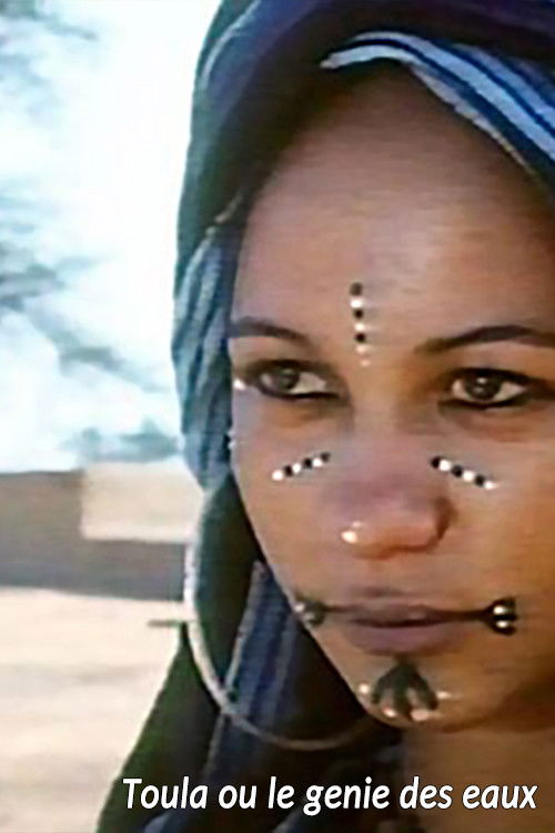 Toula, or the Genie of the Water (1973) poster