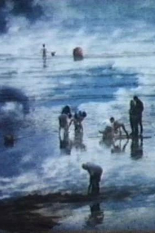 The Beach (1992) poster