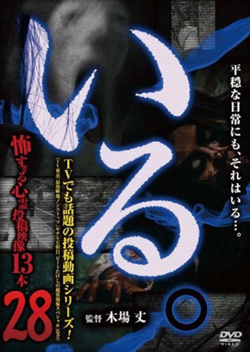 「Iru.」~ Kowasugiru Tōkō Eizō 13-hon ~ Vol.28 (2019) poster