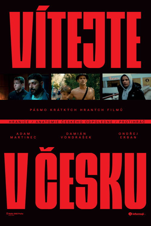Vítejte v Česku (2021) poster
