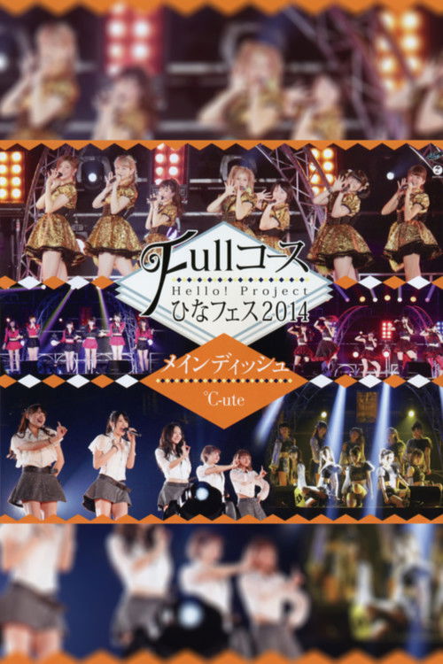 Hello! Project 2014 Hina Fes ~Full Course~ Main Dish wa ℃-ute Desu. (2014) poster