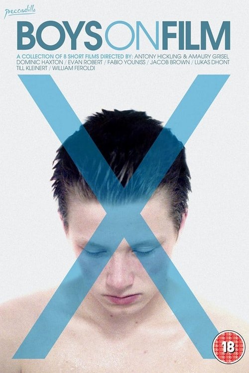 Boys On Film X (2013) poster