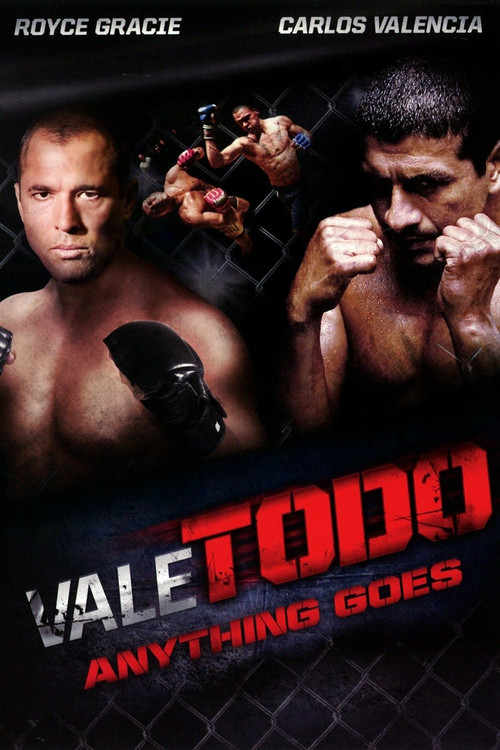 Vale todo: Anything goes (2010) poster