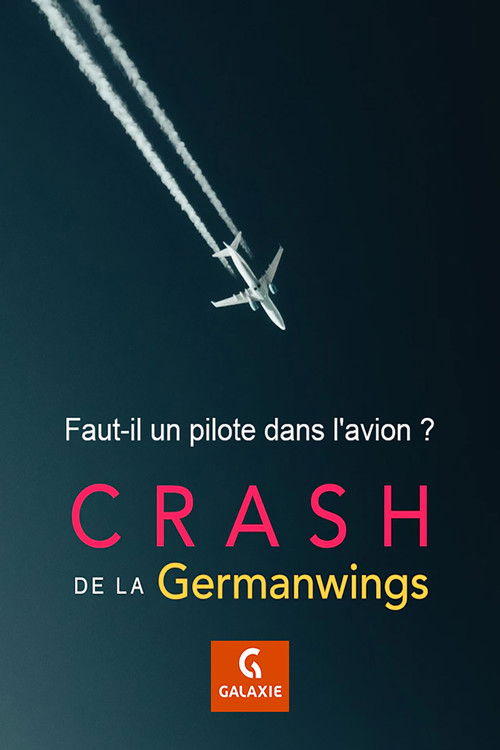 Faut-il un pilote dans l'avion ? (2016) poster