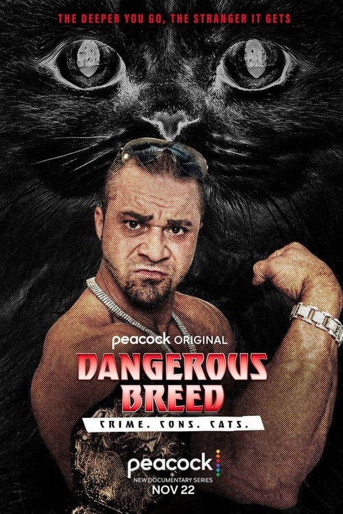Dangerous Breed: Crime. Cons. Cats. (2022) poster