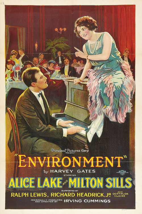 Environment (1922) poster