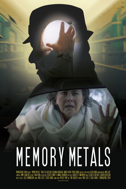 Memory Metals (2019) poster