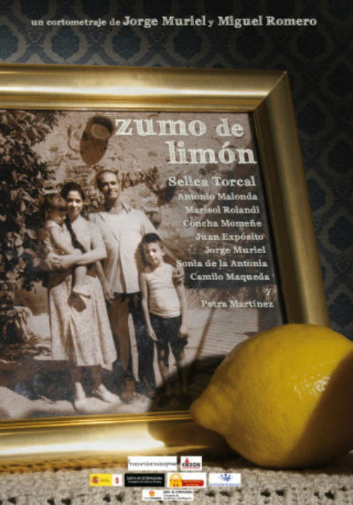 Zumo de limón (2010) poster