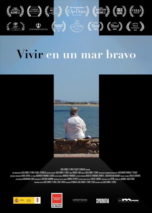 Vivir en un mar bravo (2023) poster