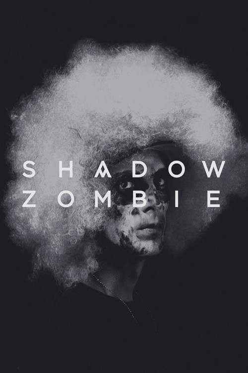 Shadow Zombie (2013) poster
