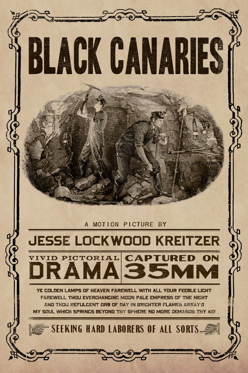 Black Canaries (2016) poster