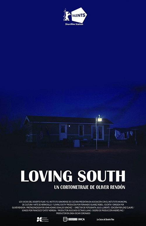 Loving South (2017) poster