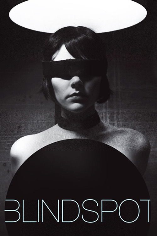 Blindspot (2008) poster