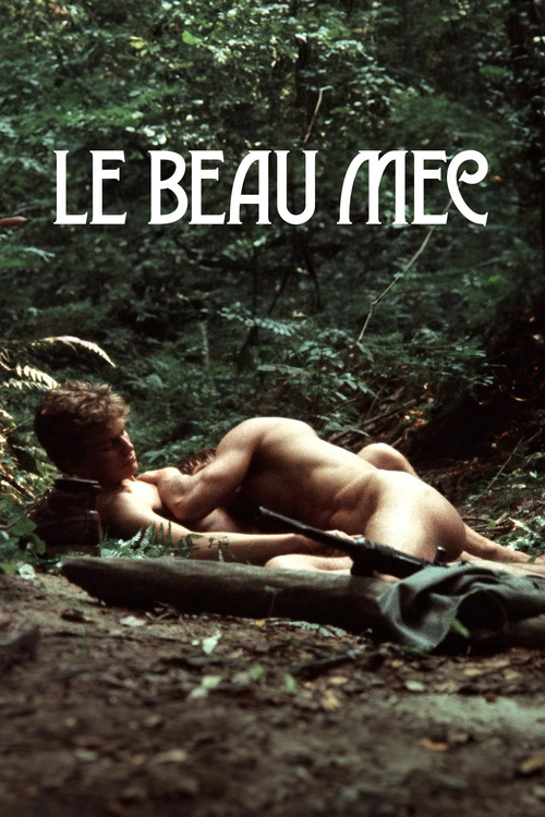 Le Beau Mec (1979) poster
