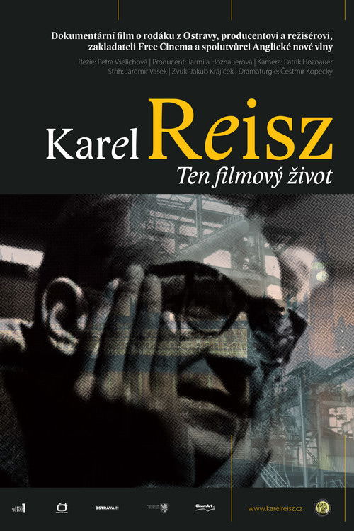 Karel Reisz, Ten filmový život (2012) poster