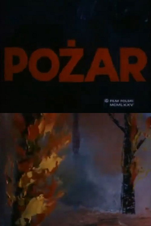 Fire (1975) poster