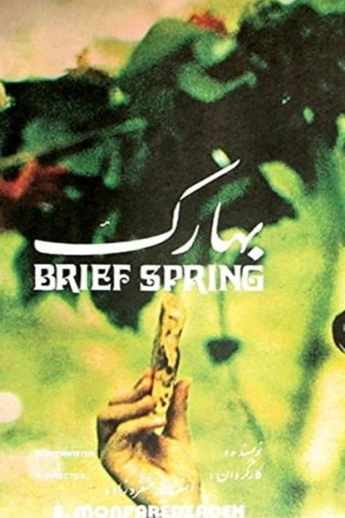 Brief Spring (1976) poster