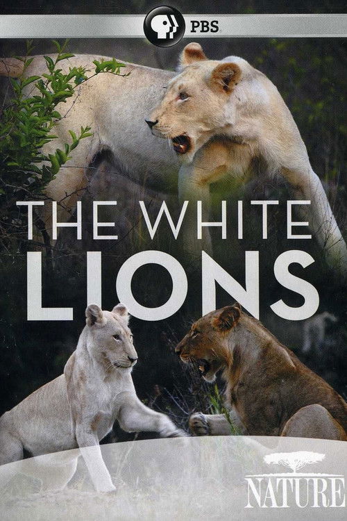 The White Lions (2012) poster