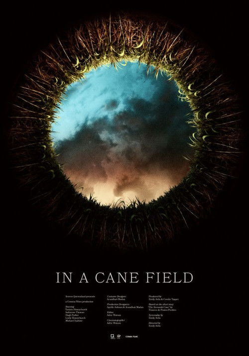 In a Cane Field (2016) poster