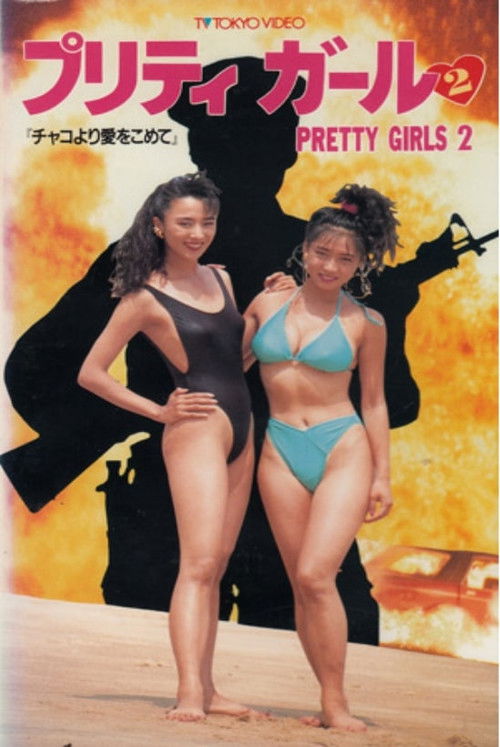 Pretty Girls 2 (1991) poster
