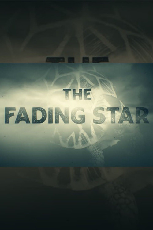 The Fading Star (2025) poster