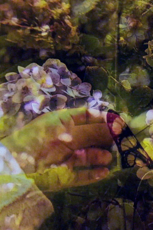 Prismatic-Double (2023) poster