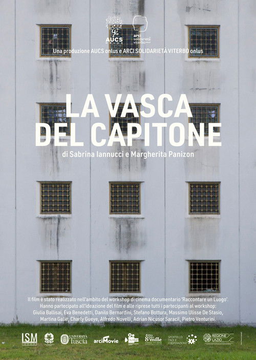 La vasca del Capitone (2017) poster