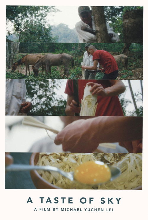 A Taste of Sky (2019) poster