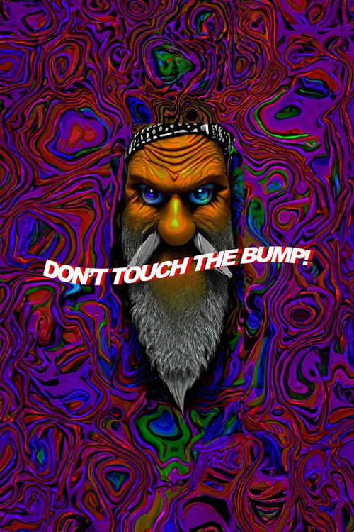 Don't Touch the Bump! (2024) poster