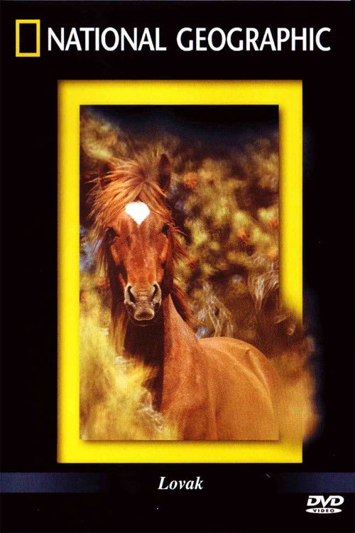 The Noble Horse (1999) poster