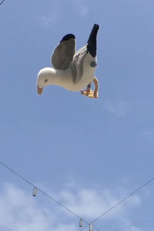 Double Jump (2024) poster