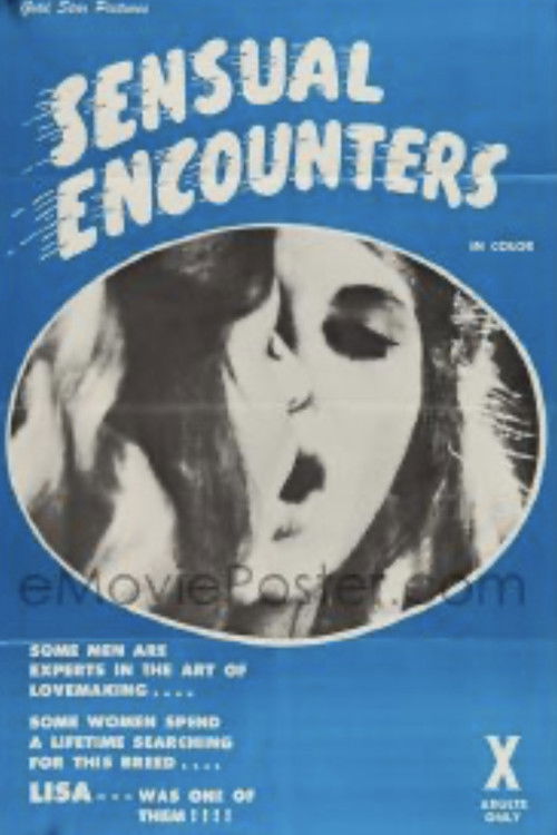 Sensual Encounters (1975) poster