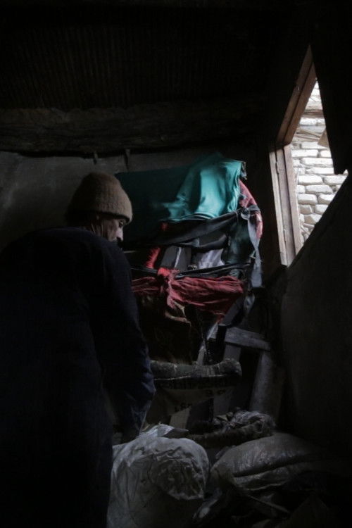 شكوى البقرة (2026) poster