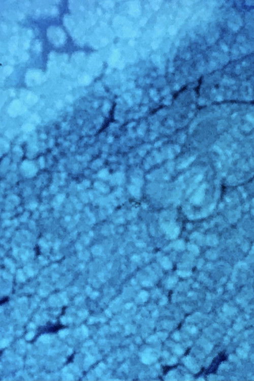 Biostoria 3 (1968) poster