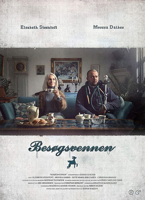 Besøgsvennen (2016) poster
