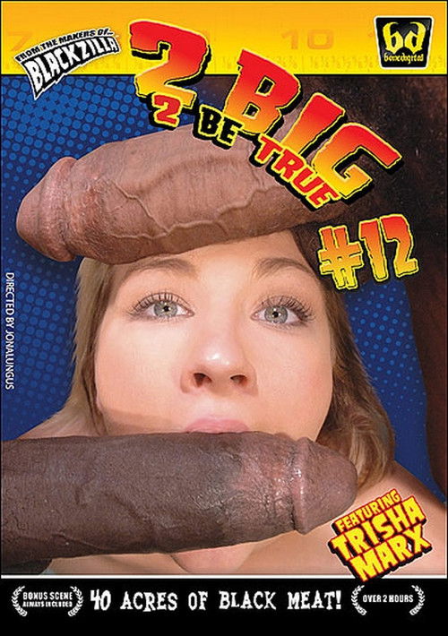 2 Big 2 Be True 12 (2009) poster