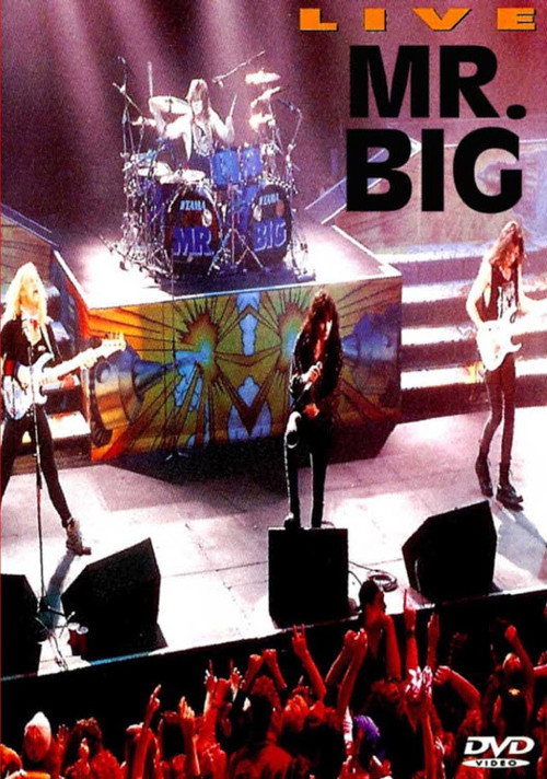 Mr. Big: Live (1992) poster