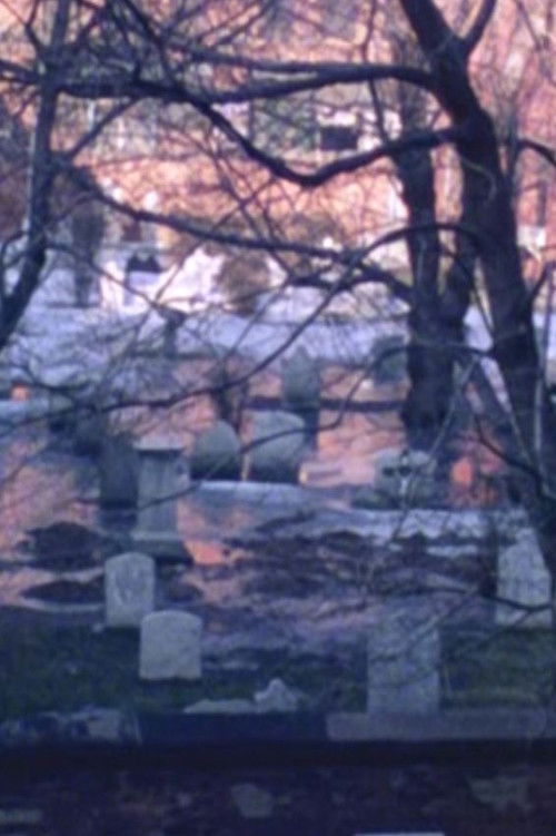 226-1690 (1984) poster