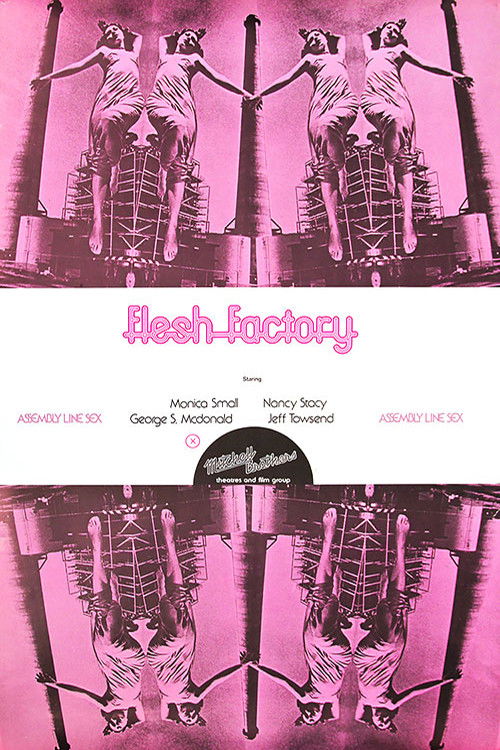 Flesh Factory (1971) poster