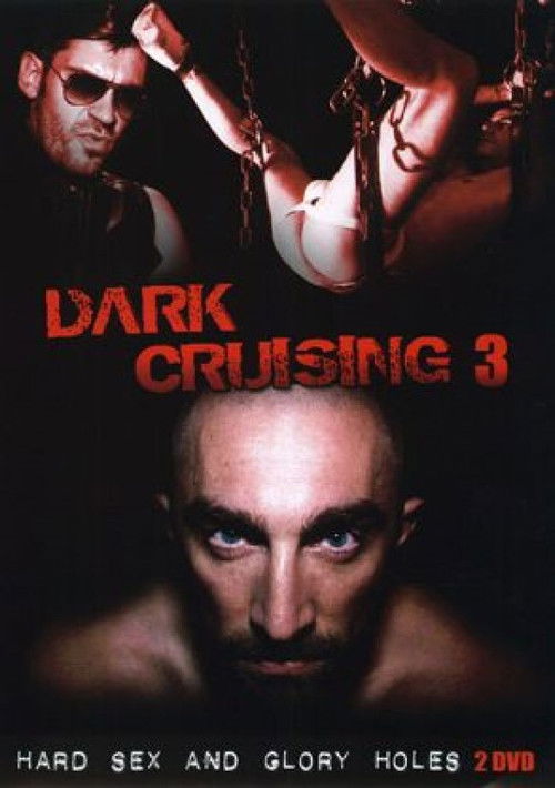 Dark Cruising 3 (2010) poster