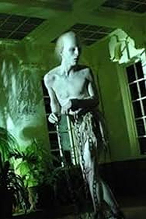 Coffins of Light (2009) poster