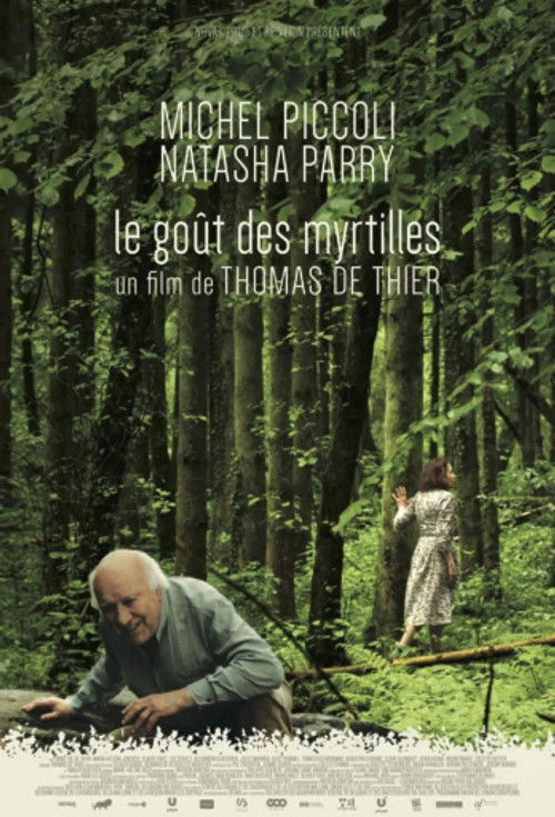 The Taste of Blueberries (2014) poster