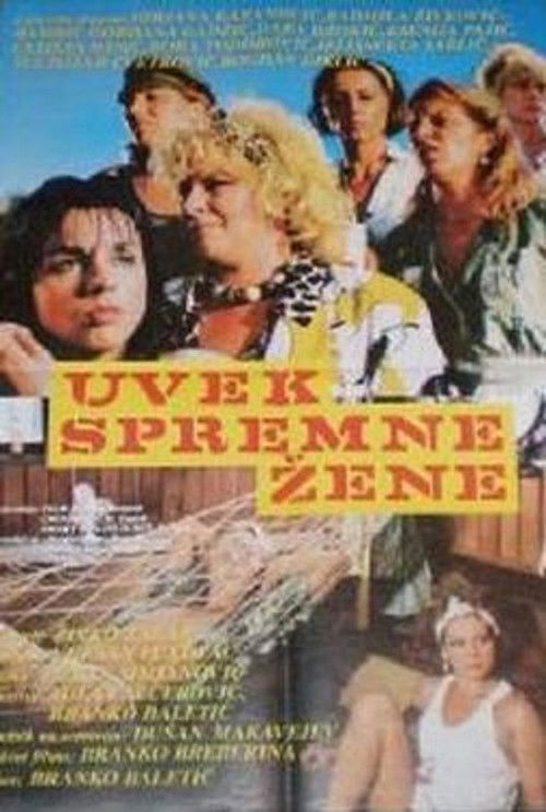 Ever-Ready Women (1987) poster