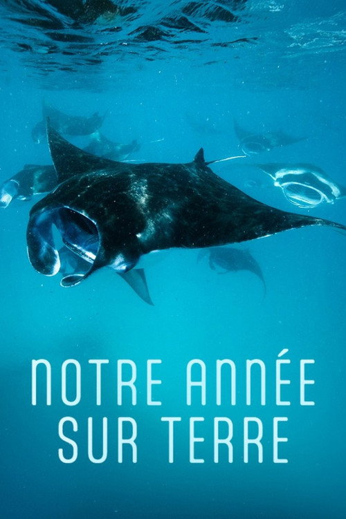 Notre année sur Terre (2022) poster