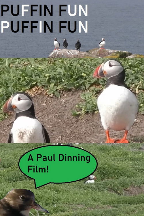 Puffin Fun (2024) poster